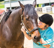 Load image into Gallery viewer, Highway Life 2020 Benefiting HorsePower Therapeutic Riding
